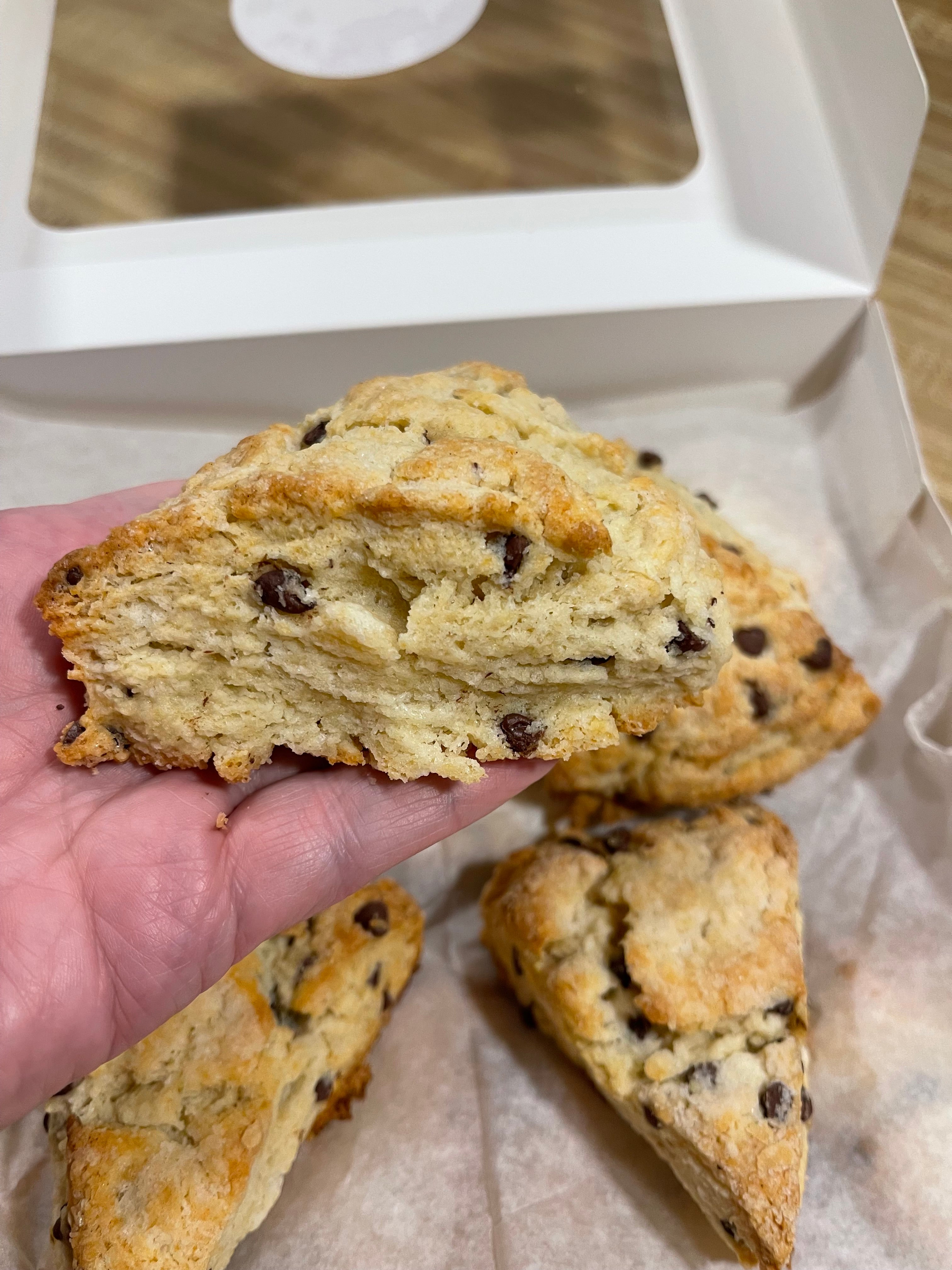 Chocolate chip scones